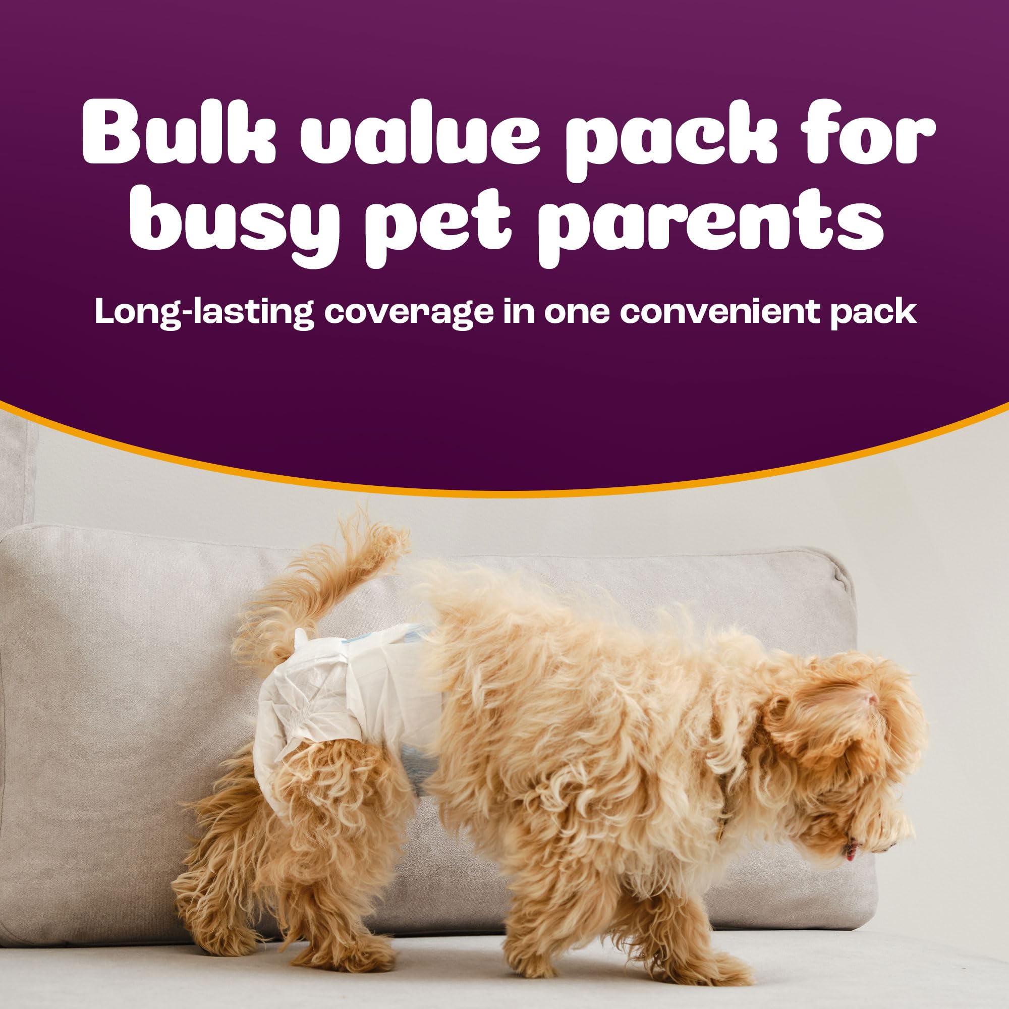 Inspire Pet Care dog diapers in use on a female dog during heat