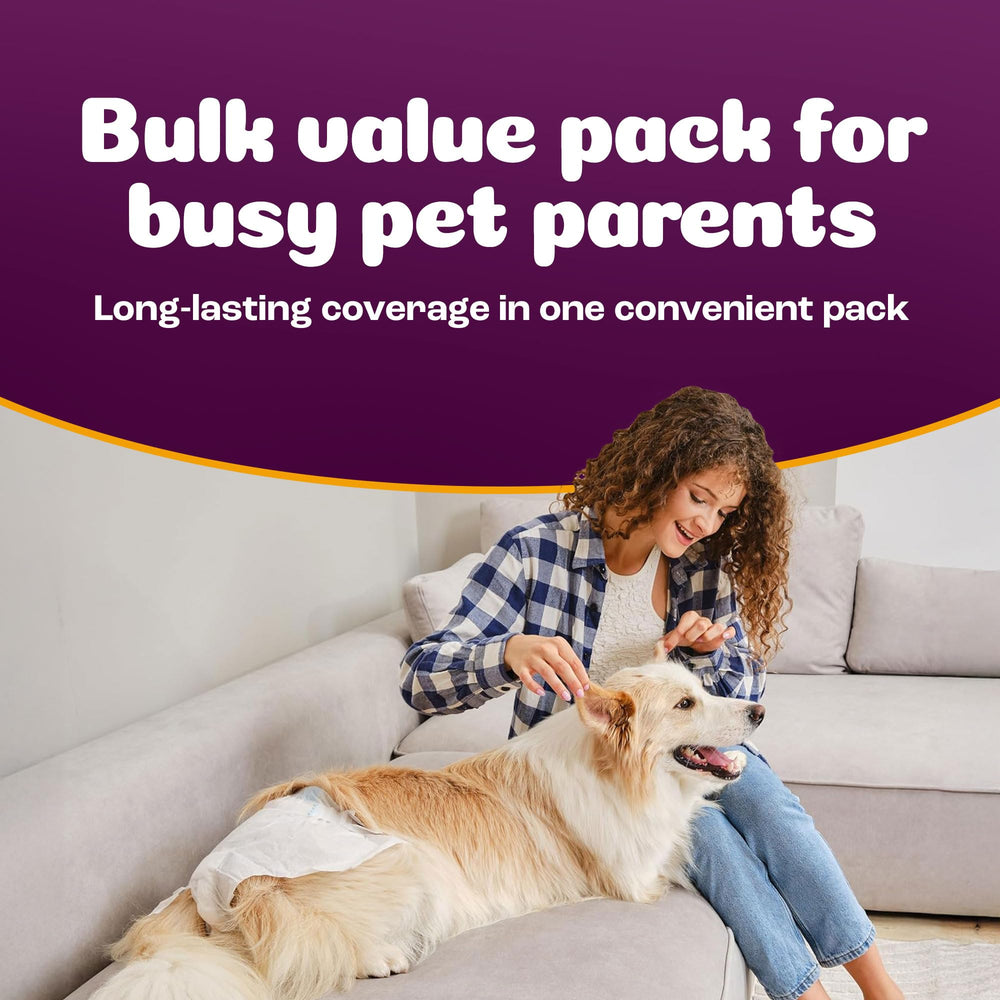 Inspire Pet Care diapers in use during travel for clean, stress-free trips.