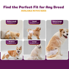 Inspire Pet Care diaper close-up highlighting leakproof absorption for accidents