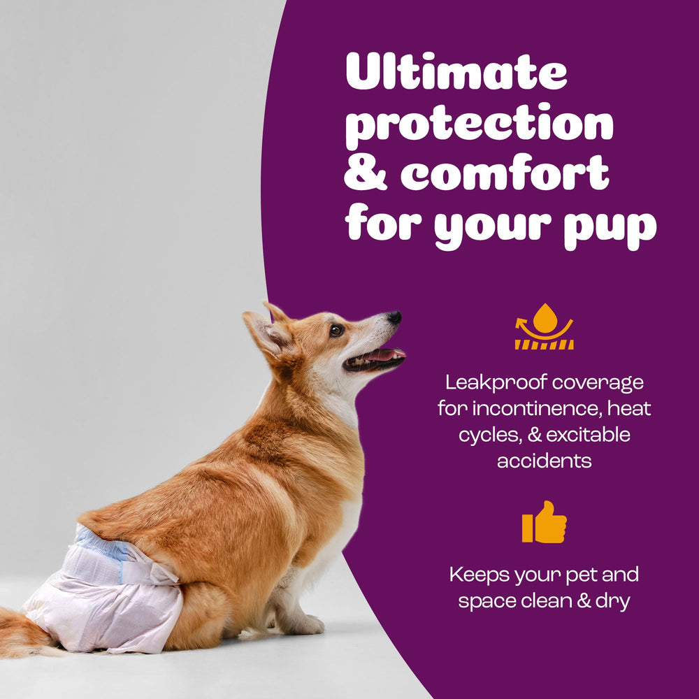 Inspire Pet Care size range graphic highlights versatile fits for many dogs.
