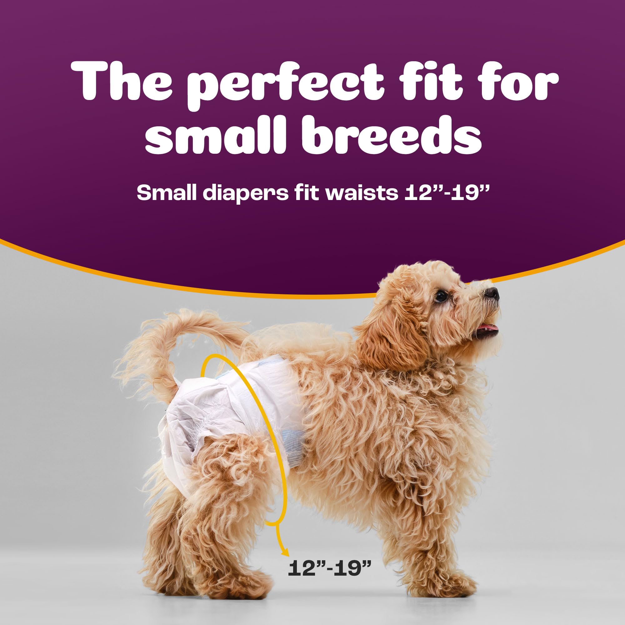Inspire Pet Care dog diapers tail-hole design provides secure fit during movement