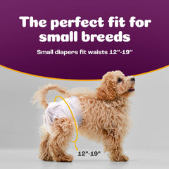 Inspire Pet Care dog diapers tail-hole design provides secure fit during movement
