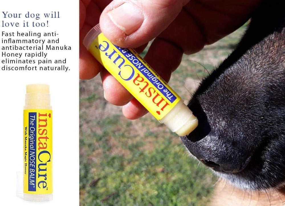 INSTACURE Original Nose Balm for dogs' dry cracked noses on walks.