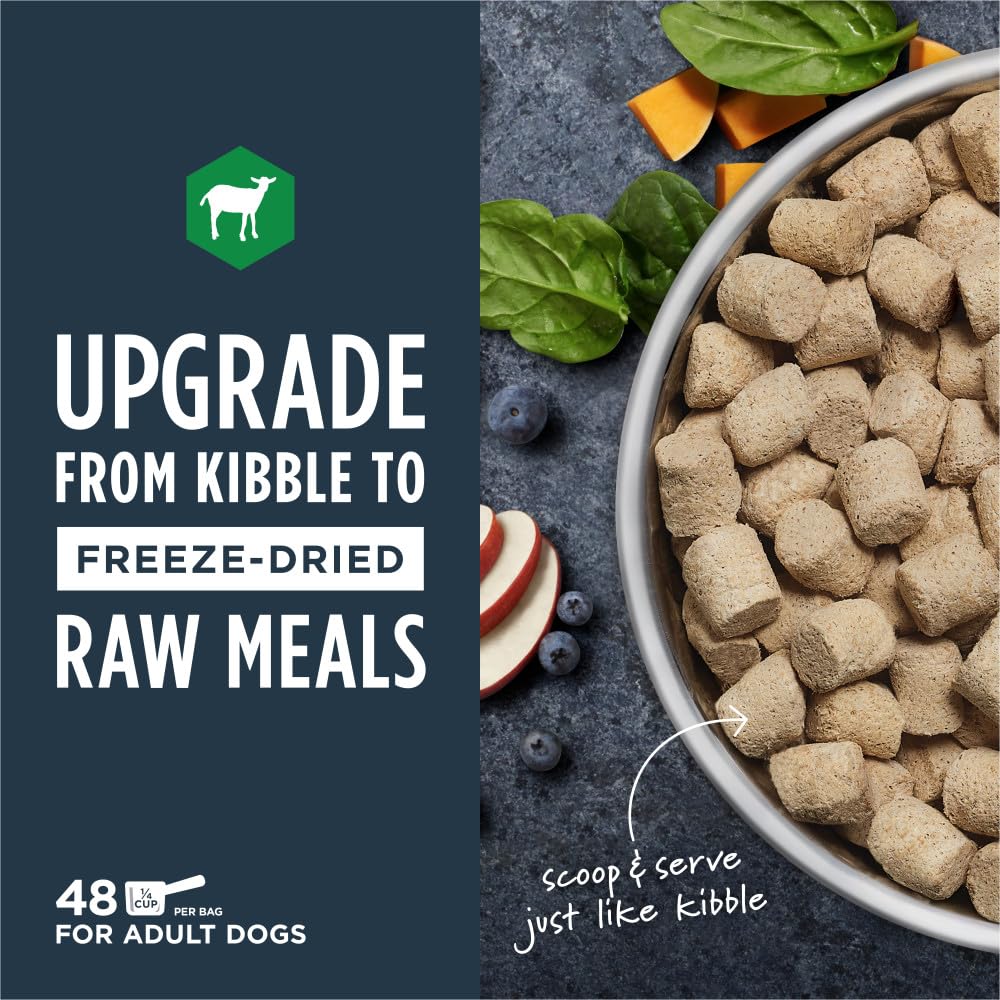 Instinct freeze-dried raw meals grass-fed lamb closeup showcases high-protein meat chunks.