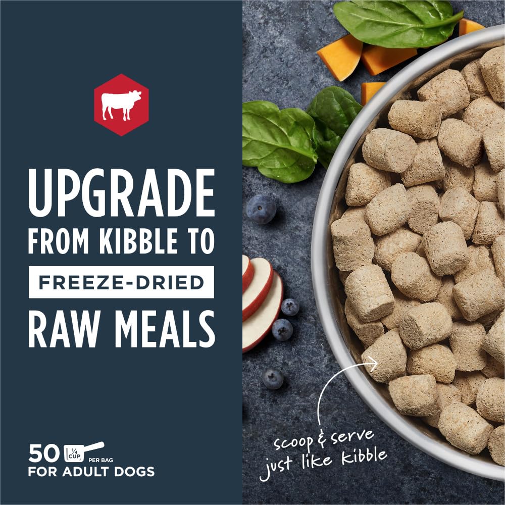 Instinct raw meals serving bowl demonstrates easy portioning and the fresh aroma.