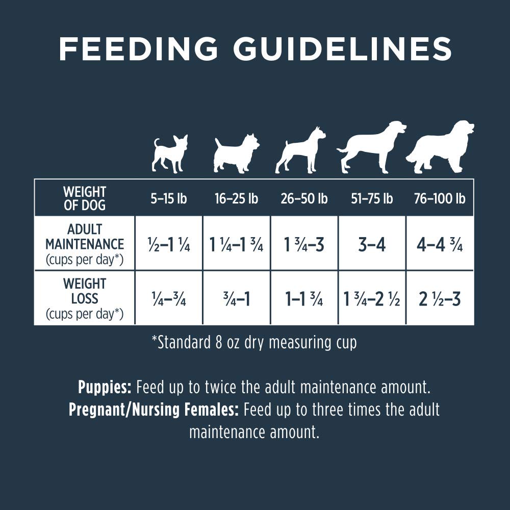 Instinct Raw Boost-fed-dog-bowl-joy captures dogs enjoying wholesome meals