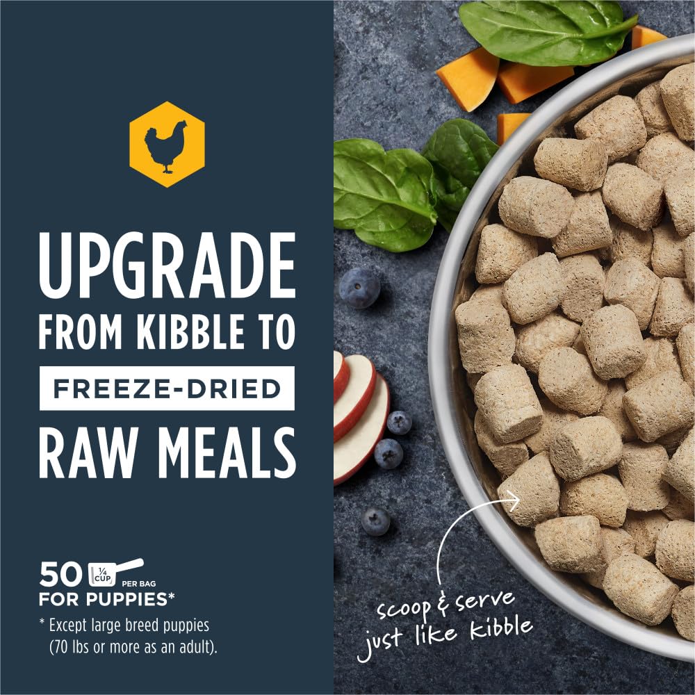 Instinct Raw Meals Freeze-Dried Puppy Chicken chunks closeup reveals real meat texture and protein-rich bites.