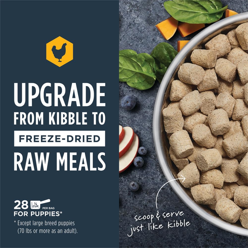 Instinct Raw Meals freeze-dried puppy chicken closeup highlights meat texture and quality.