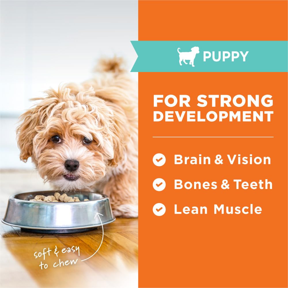 Instinct Raw Meals Freeze-Dried Puppy Chicken texture closeup demonstrates crunchy bite-sized chunks.