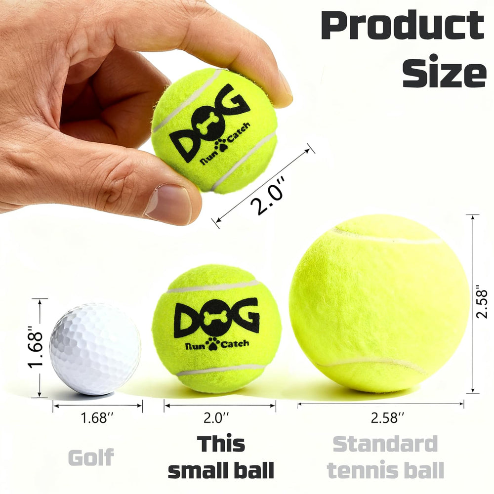 INSUM dog playing indoors shows safe, small-sized toy ideal for living rooms.
