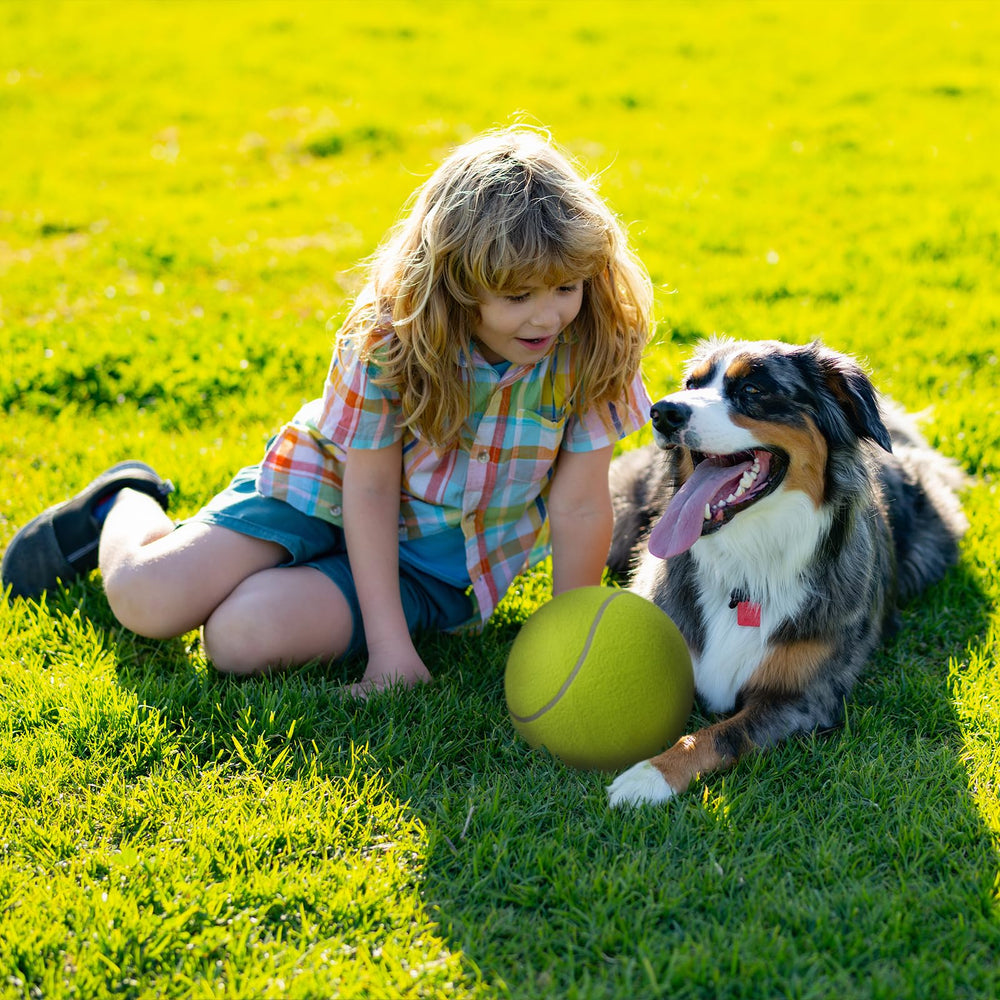 INSUM 9.5-inch ball helping relieve boredom during play