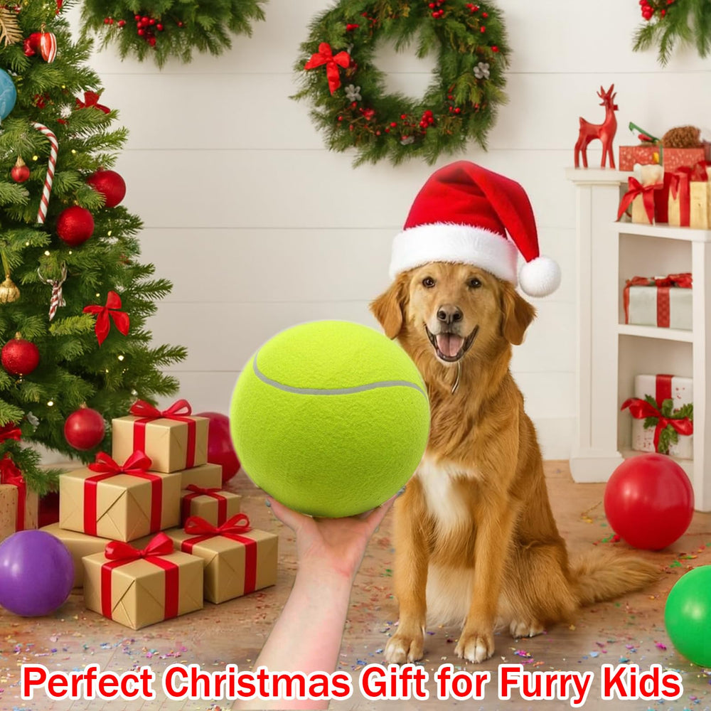 INSUM 9.5-inch ball used in dog training sessions outdoors