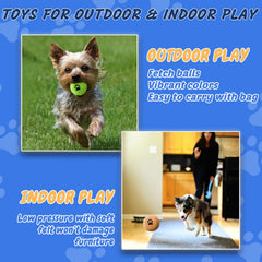 INSUM dog balls in four colors help keep sessions engaging and visible during play.