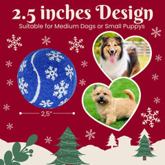 INSUM durable bounce dog ball designed for strong chewers and consistent play.