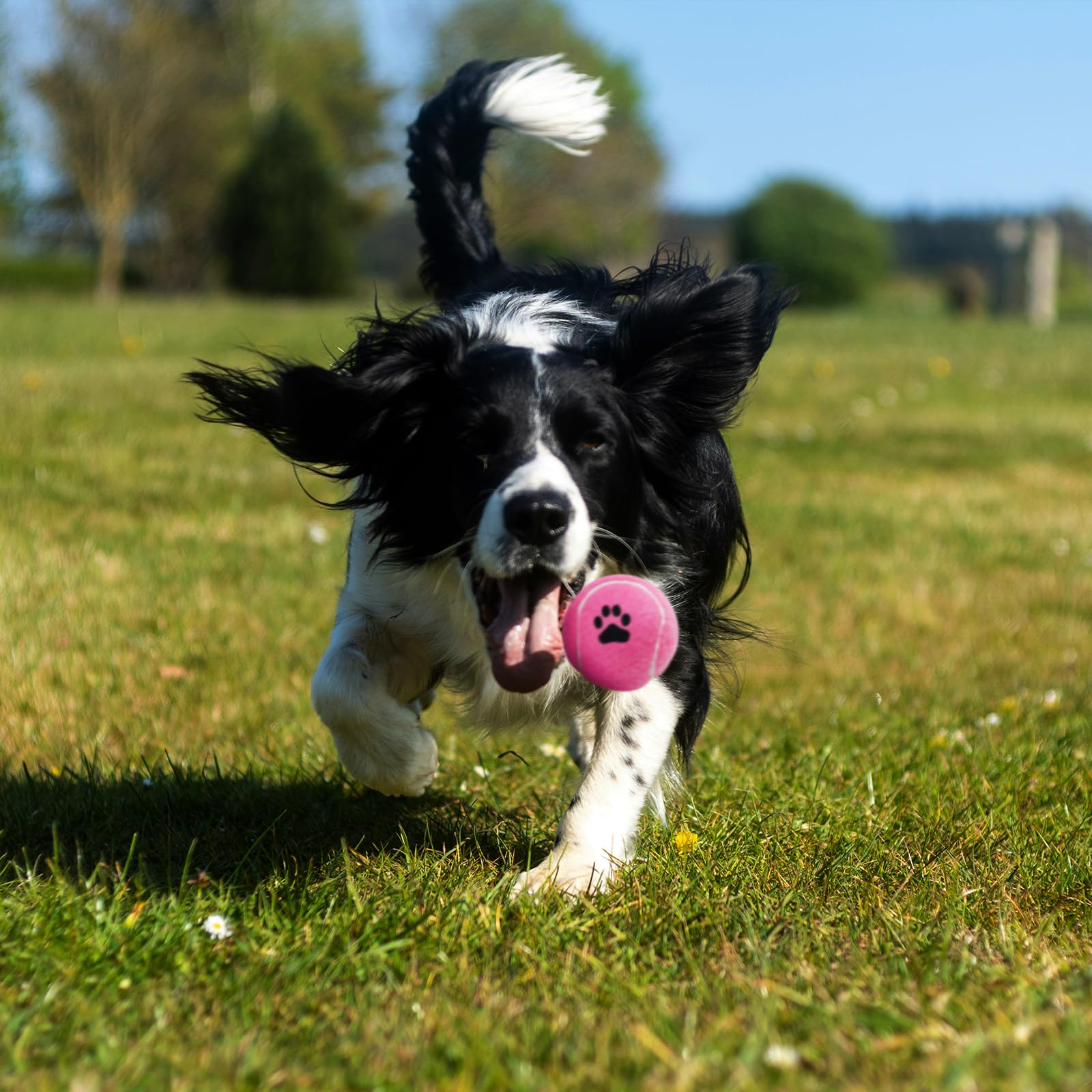 INSUM balls are easy to fetch with the included drawstring mesh bag for travel.