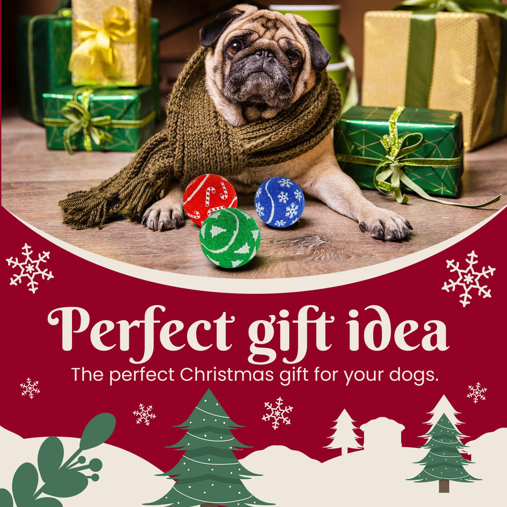 INSUM gift box packaging with greeting card for canine Christmas surprises.