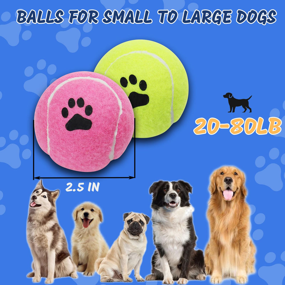INSUM reusable mesh bag keeps the 12 balls organized for easy transport.