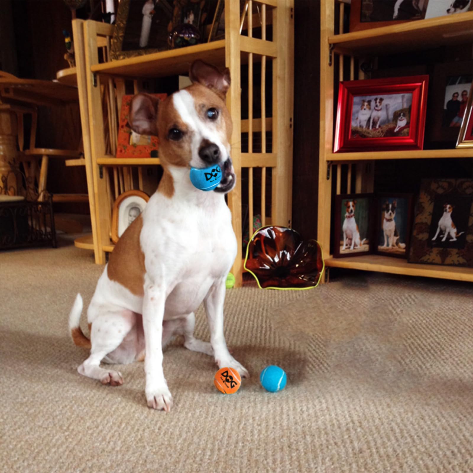 INSUM non-toxic rubber ball emphasizes safety and durability.
