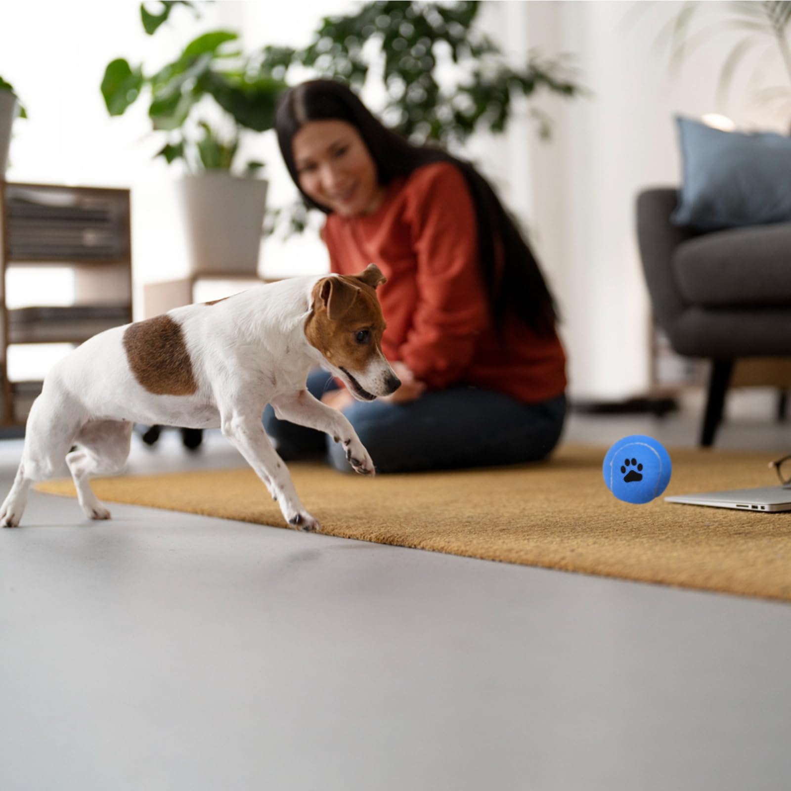INSUM fetch balls support backyard training and outdoor exercising routines.