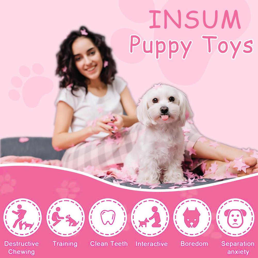 INSUM Pink Squeaky Tennis Ball multipack—sizes for small to large dogs.