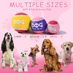 INSUM Pink Squeaky Tennis Ball outdoor fetch—high-visibility for quick spotting.