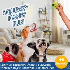 INSUM squeaky ball with bright colors improves outdoor visibility during fetch