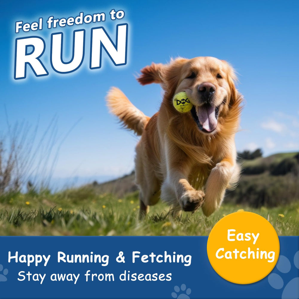 INSUM squeaky tennis ball in hand for interactive play and training