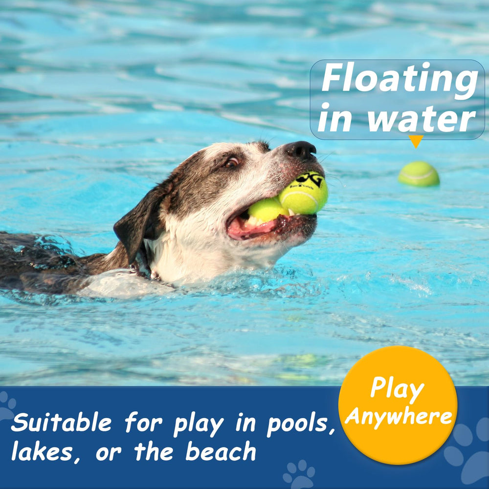 INSUM squeaky ball ideal for indoor and outdoor play sessions with active dogs.