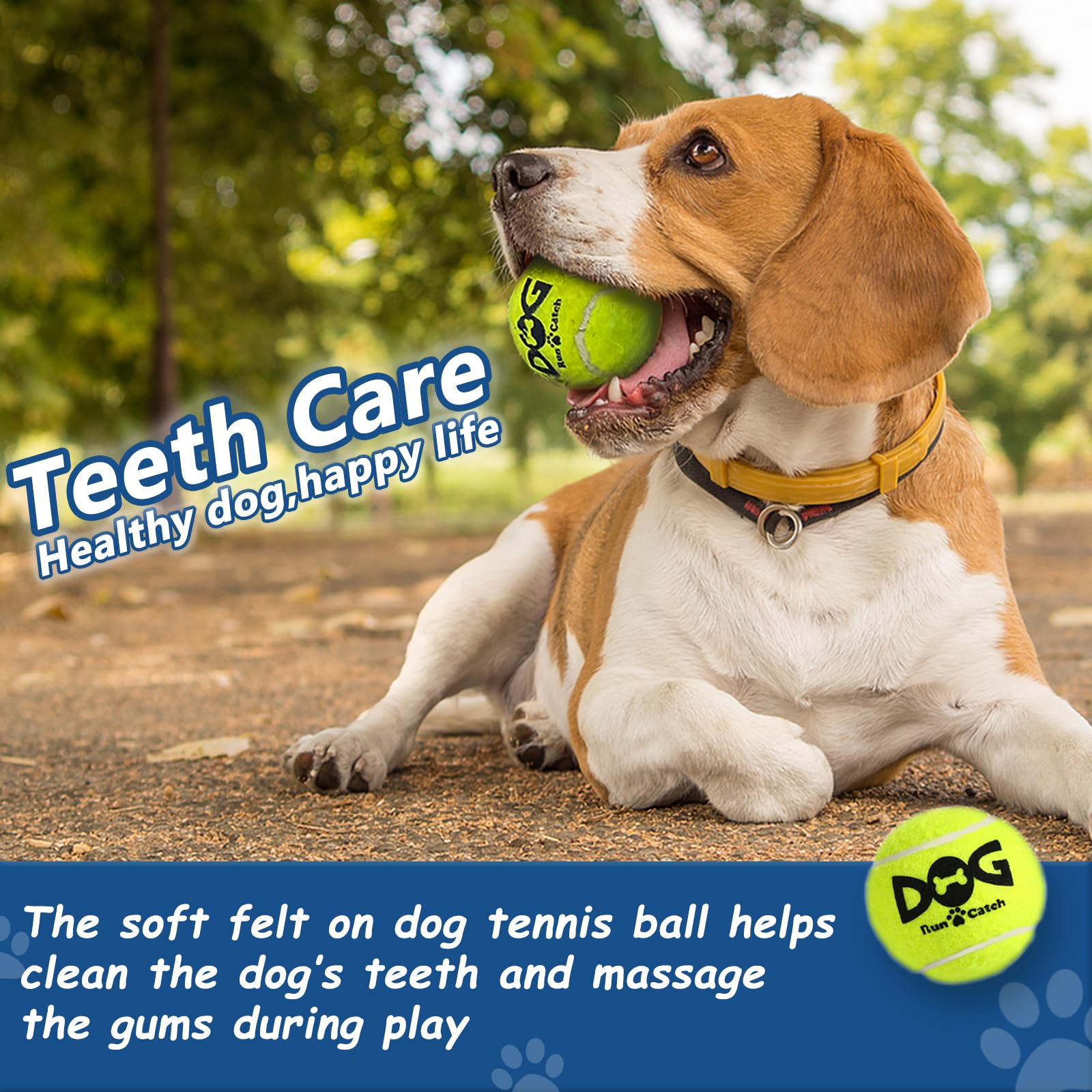 INSUM squeaky ball made with non-toxic natural rubber for safe chews.