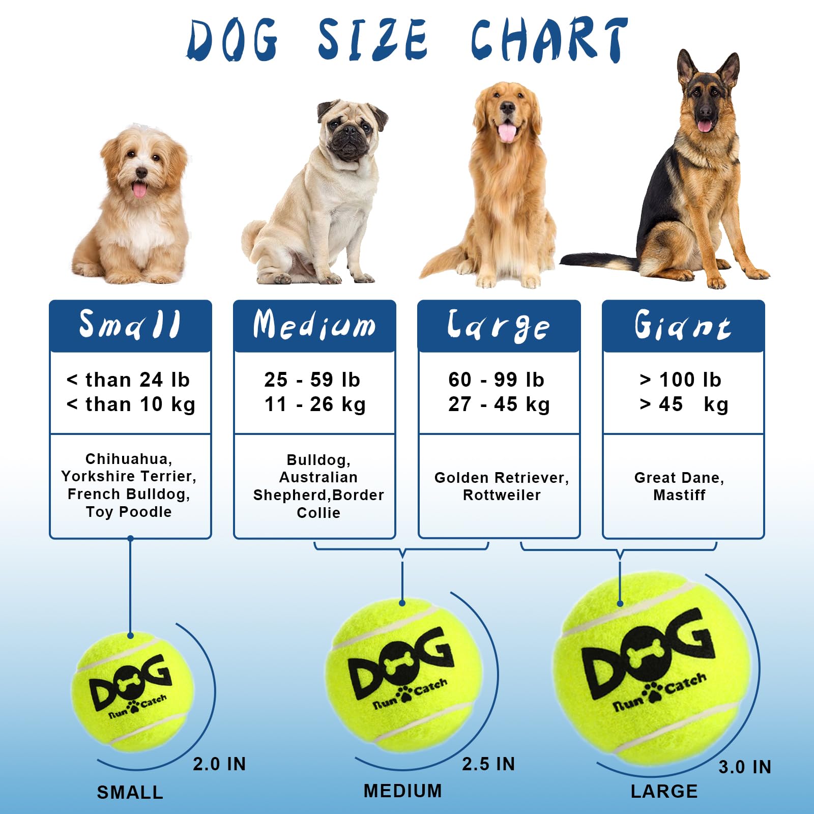 INSUM squeaky ball with non-toxic rubber for safe chewing and handling