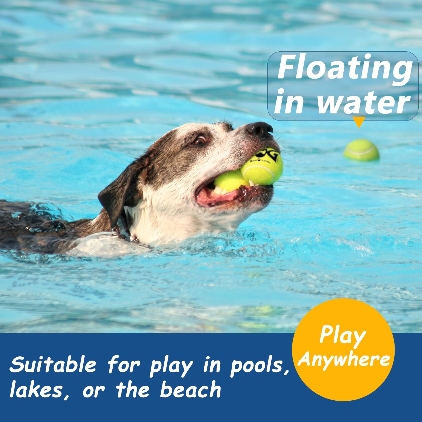 INSUM squeaky ball SGS-certified non-toxic rubber for safe play