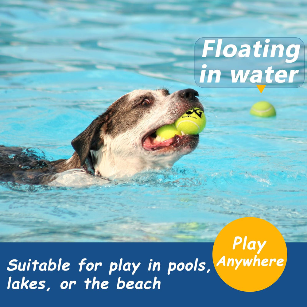 INSUM squeaky ball SGS-certified non-toxic rubber for safe play