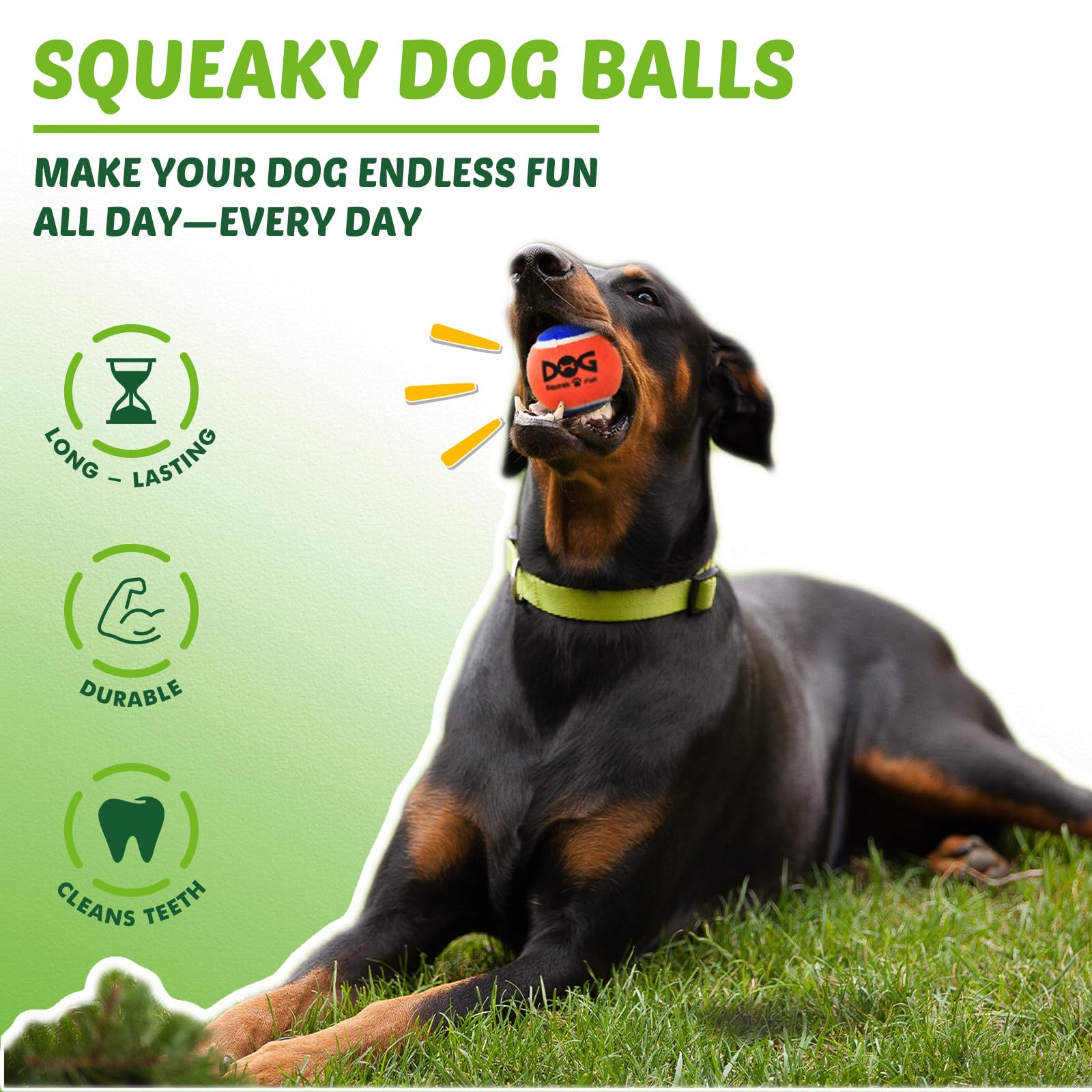 INSUM Squeaky Ball small pack water-floating for poolside fetch