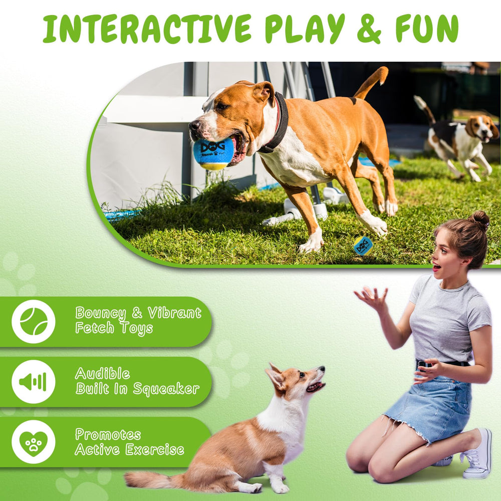 INSUM squeaky balls in action captures dogs chasing, chewing and enjoying built-in squeakers.