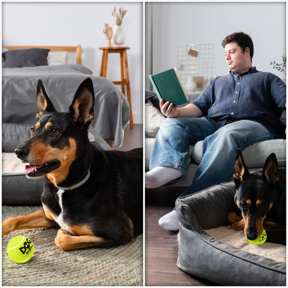 INSUM squeaky dog ball blue textured rubber detail ideal for grip.