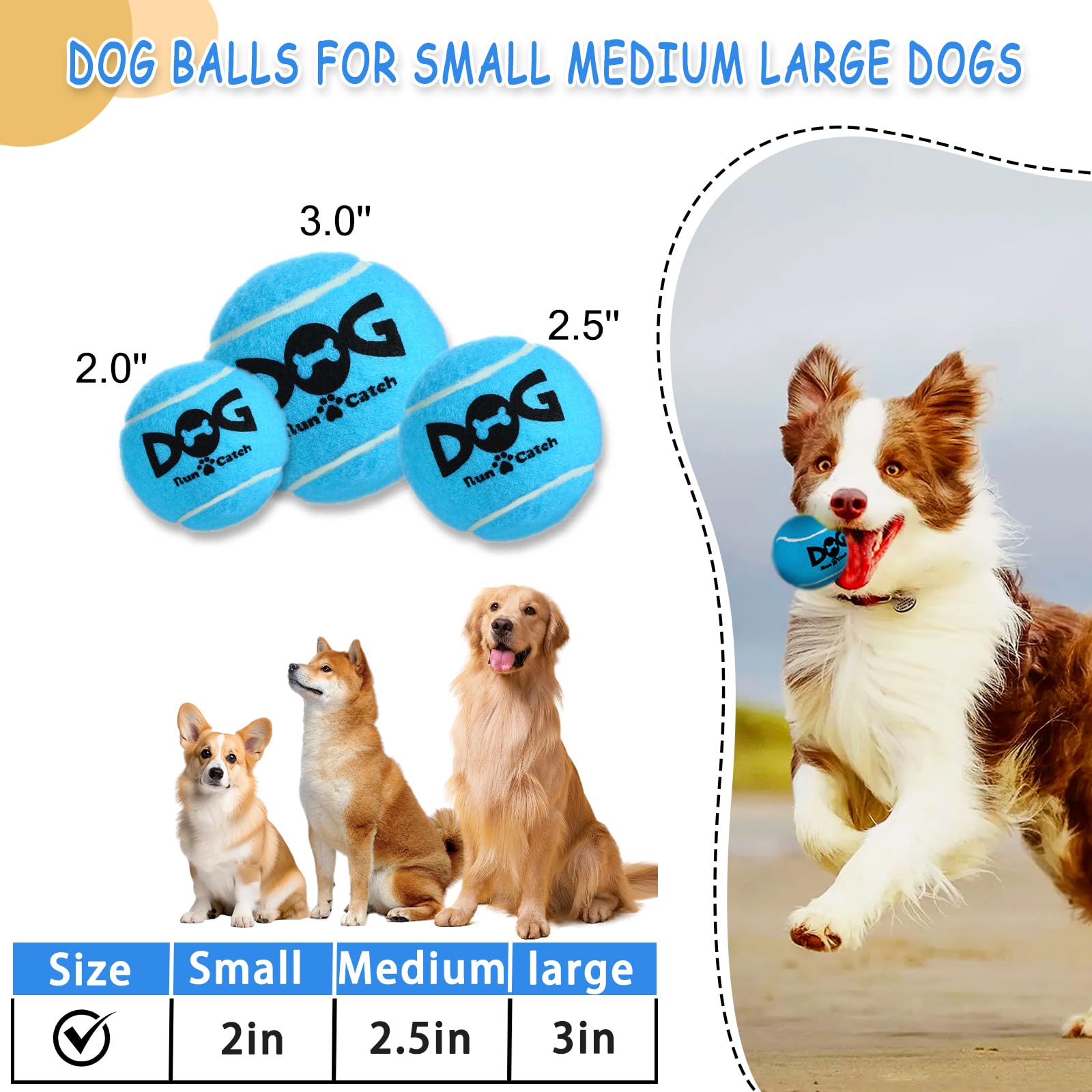 INSUM Squeaky Dog Balls blue pack in action during beach play