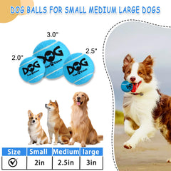 INSUM Squeaky Dog Balls blue pack in action during beach play
