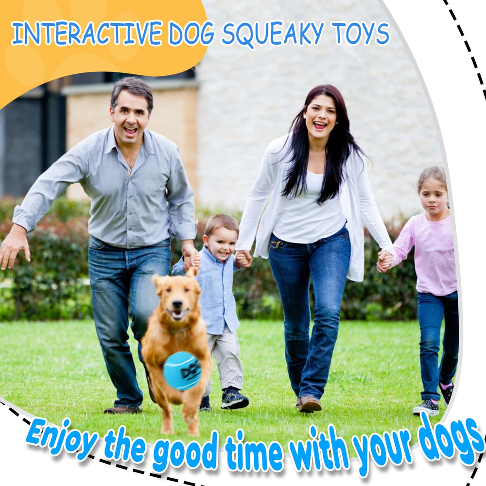 INSUM Squeaky Dog Balls blue indoor outdoor toy