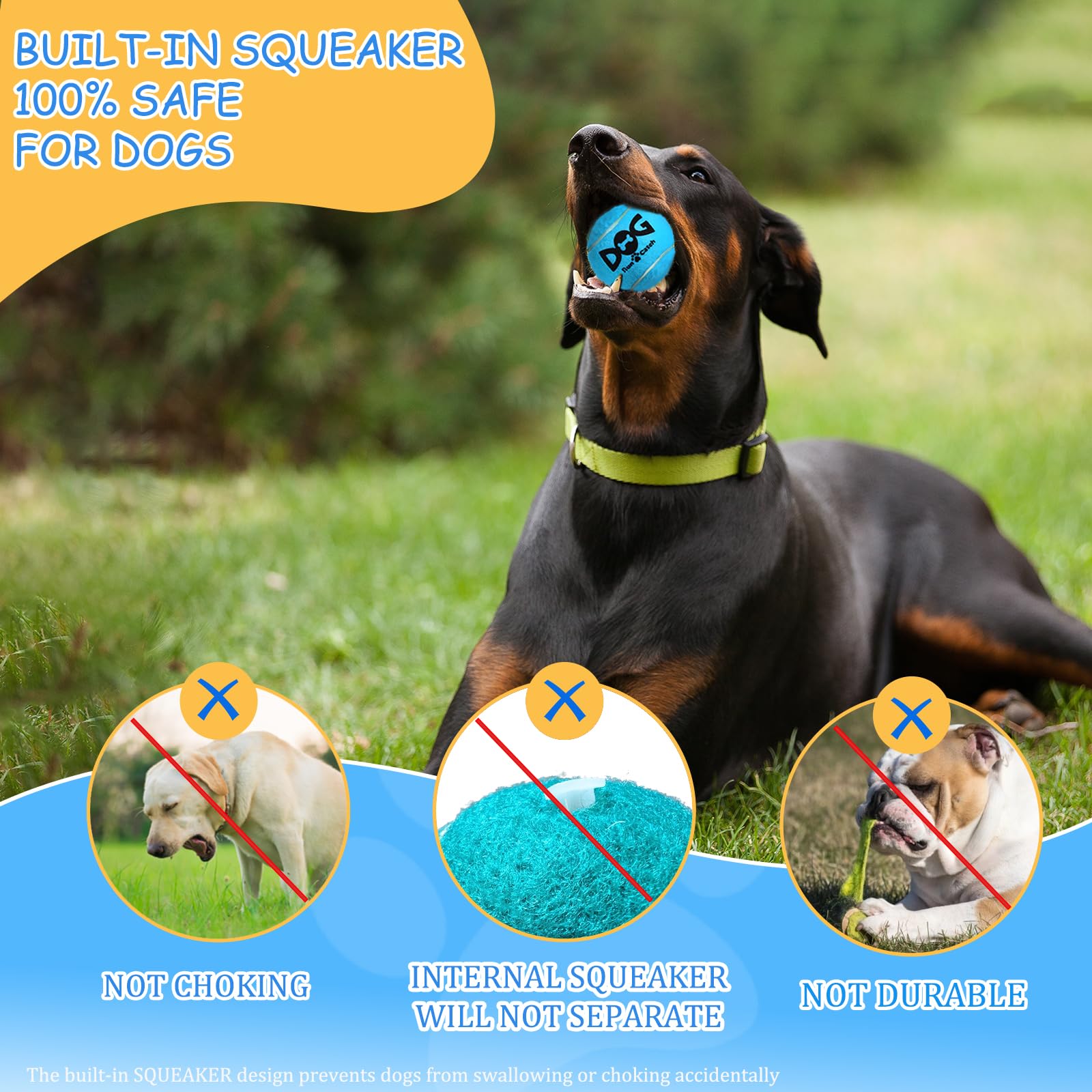 INSUM Squeaky Dog Balls blue high visibility for quick spotting