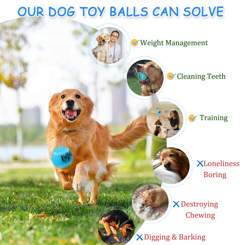 INSUM Squeaky Dog Balls blue 2in pack in hands for outdoor training