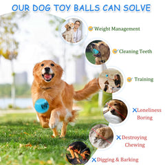 INSUM Squeaky Dog Balls blue 2in pack in hands for outdoor training