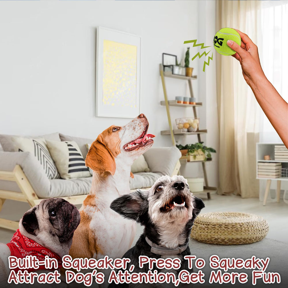 INSUM squeaky dog balls large 3-inch park play shot highlights visibility in the park.