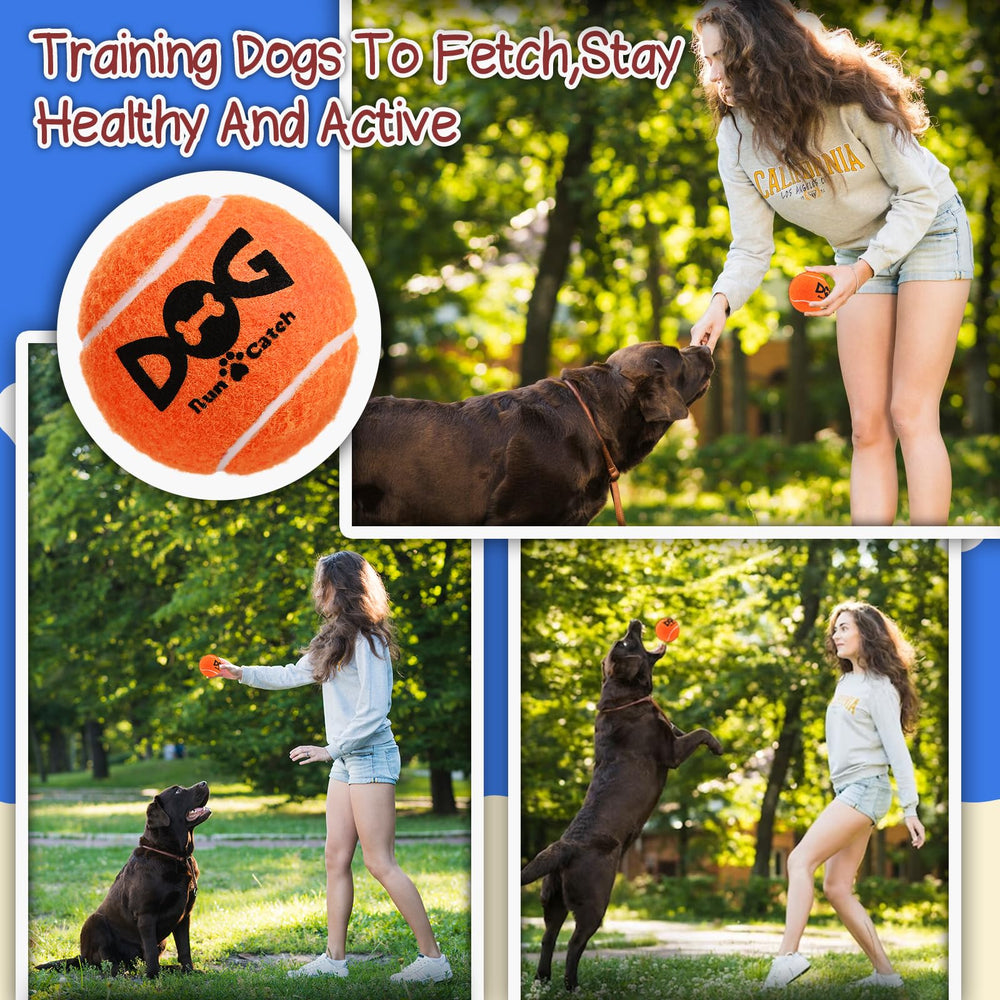 INSUM squeaky dog balls vibrant colors ready for indoor or outdoor play.
