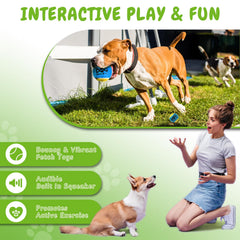 INSUM squeaky tennis ball in action with a dog chasing.