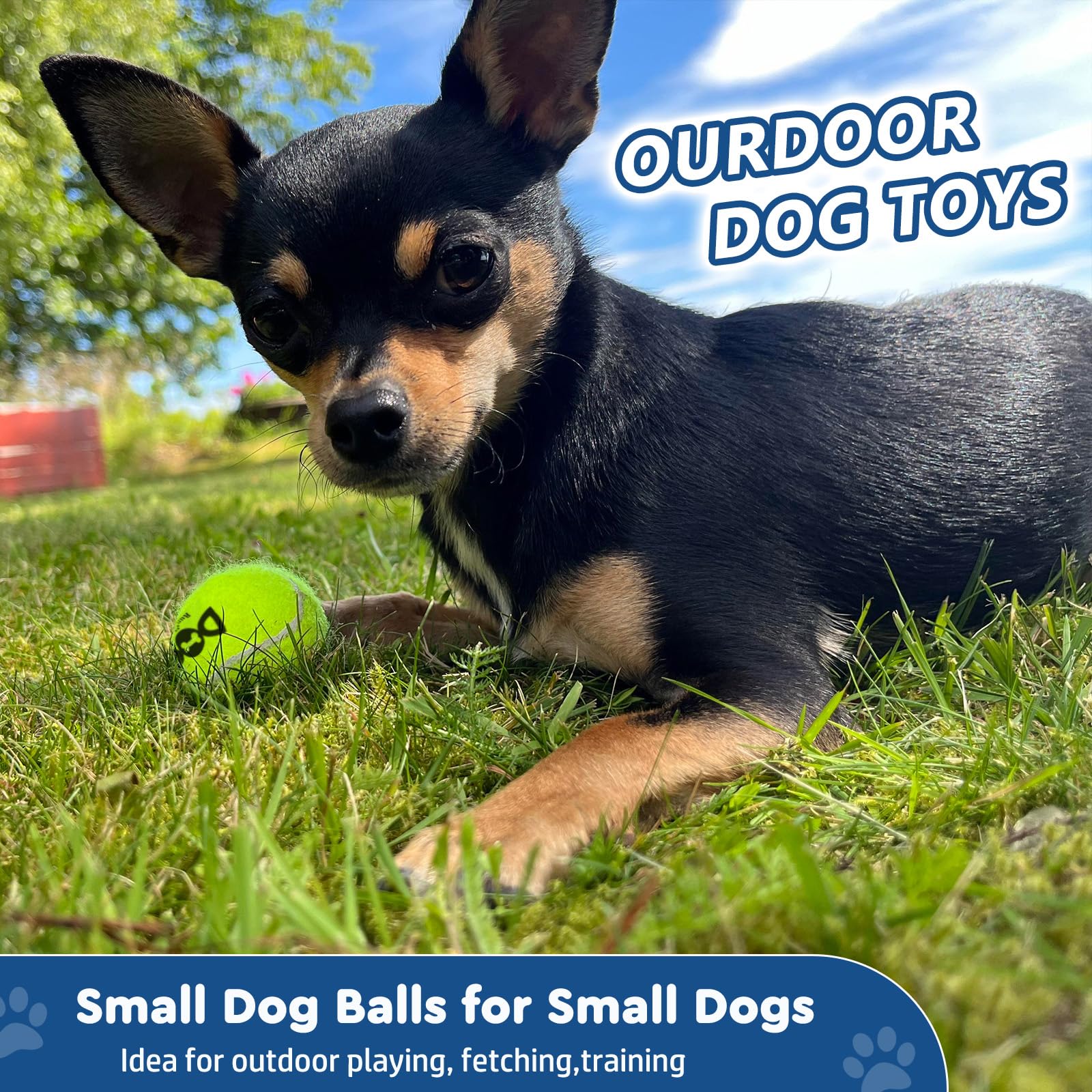 INSUM 12-pack colorful balls visible in grass for fetch training