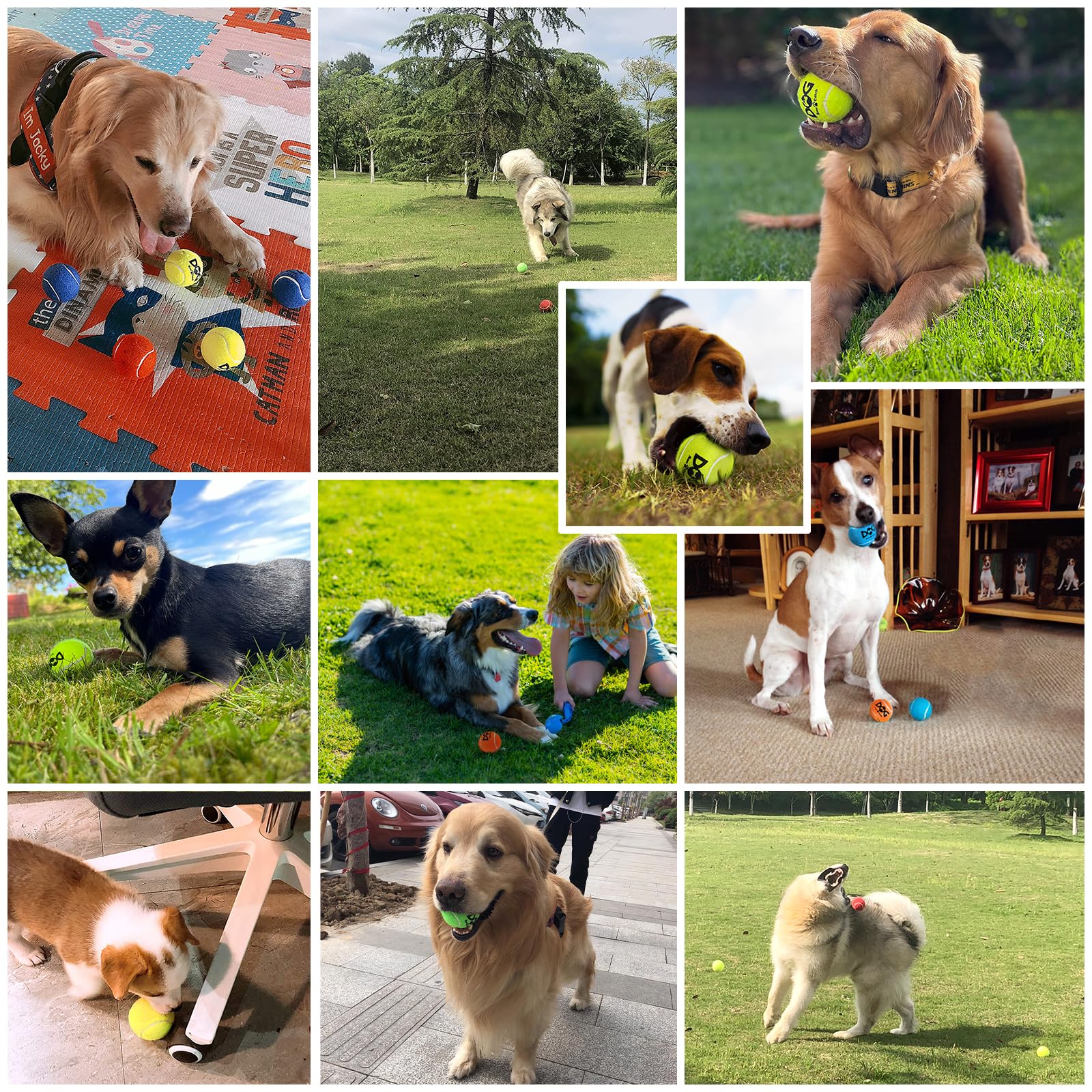 INSUM non-squeaky design reduces noise during play for sensitive dogs