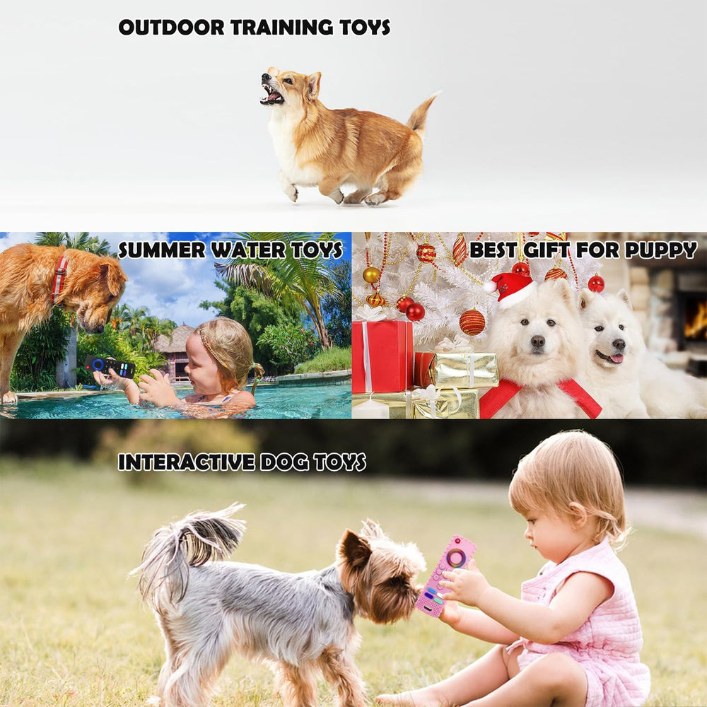Intatikoo puppy teething toy outdoor play scene supports interactive bonding.