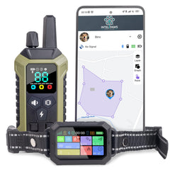 INTELIPAWS GPS collar worn during a backyard walk demonstrates boundary awareness.