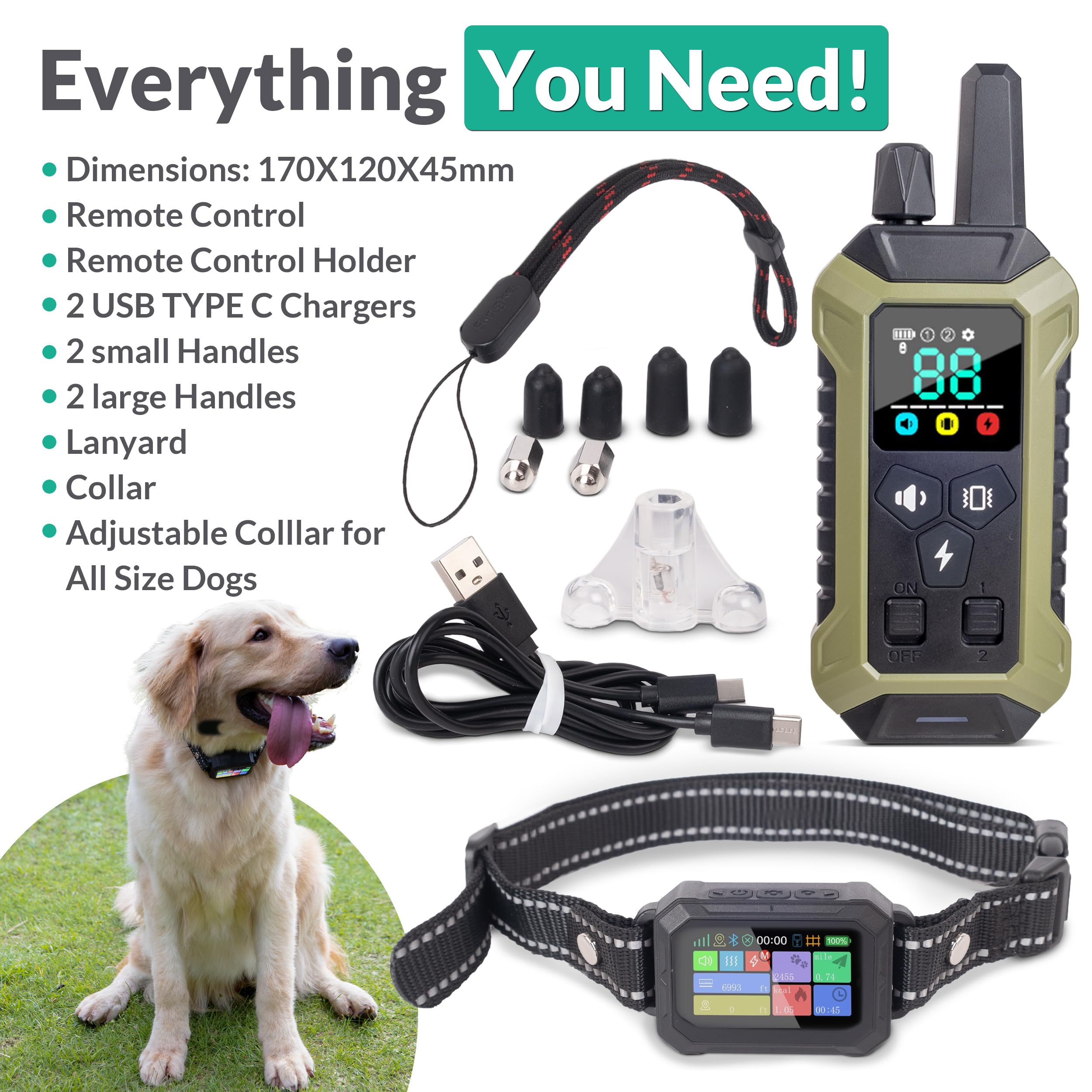 INTELIPAWS waterproof collar demonstrates reliable all-weather outdoor play.