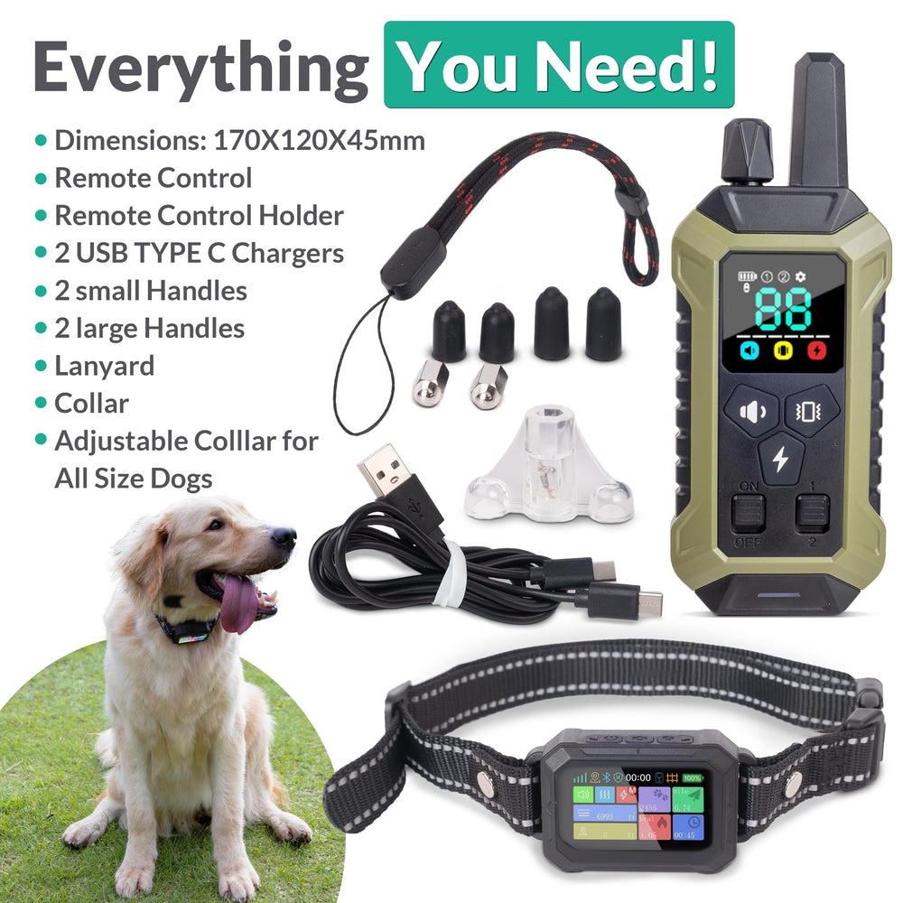 INTELIPAWS waterproof collar demonstrates reliable all-weather outdoor play.